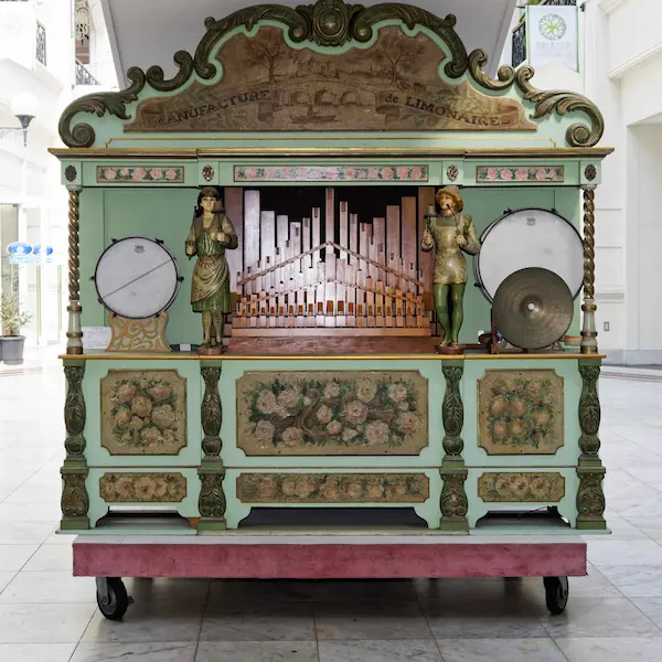 Organ (1)